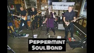Megamix by Peppermint Soul Band - We are Family, Good Times and Freak Out. Live @The Bird