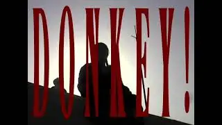 D O N K E Y ! - oait(오아잇) [Official M/V]