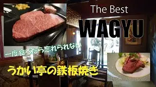 【横浜うかい亭】Amazing Wagyu Steak/Ukai/極上鉄板焼きを味わえるレストランうかい亭 うかい牛ステーキ/ Teppanyaki Japanese Restaurant/