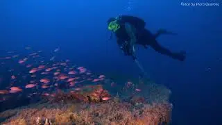 Il relitto Umberto I&deg; - luglio 2025 - The wreck of Umberto I&deg; - Italy -