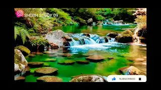 Study music 🎶| mind relaxing music 🎶🎵 | lofi song 🎧 |  shubh study 09 💥💝