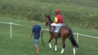 3 Dio Bihać 19.8.2017