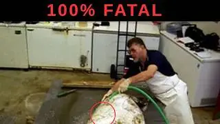 Horror at Sea: Giant Squid Attack Story