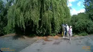 Wohnmobilstellplatz am Bürgerpark in Braunschweig
