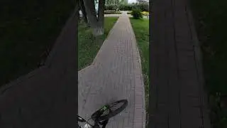 Без слов