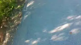 Why you should always check your brakes!