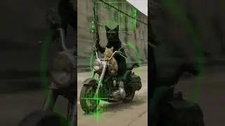 shooter sahab #cat bullet with shooter #viral #song #funny #cartoon #sillyshots #shocke#shootertips