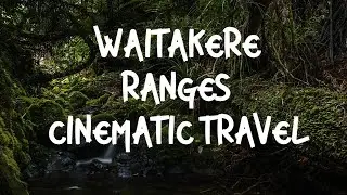 Waitakere Ranges | Piha Beach | Cinematic Travel | Dreamglowmedia