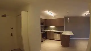 Medical District Chicago Apartments | SCIO | 1 Bedroom/Convertible  | GoPro Tour