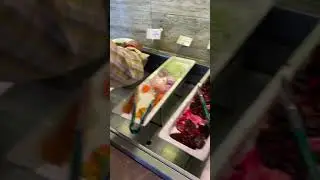 Mumbai Airport GVK lounge