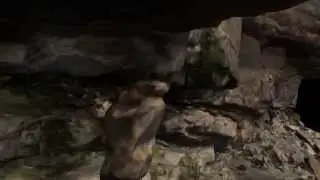 3D Animation of the Game Pass Shelter documented by the Zamani Project (University of Cape Town)