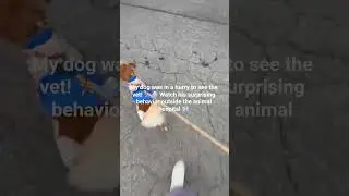 My Dog's Hilarious Vet Dash! 😂 #my #cute #dog #puppy #shorts #dogmom #viral #pets  #vet #petlover