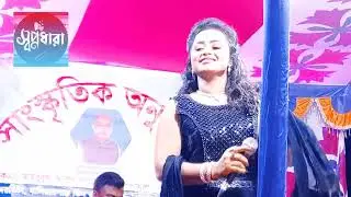 সাদিয়া আফরিন ডিজে নাগিন গান