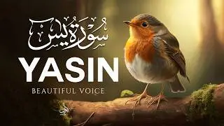 Surah Yasin (Yaseen) سورة يس | Beautiful Lofi Quran Recitation Calm & Heart Touching #lofiquran