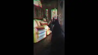 Neutral Milk Hotel - In the Aeroplane Over the Sea (Sonny Pursall Cover)