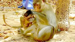 OMG...So long never seen Anna did like this on baby Anissa, Anna fight Anissa so bad to stop milk