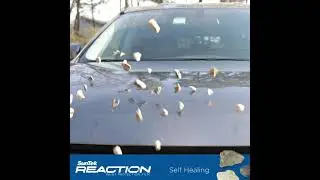 SunTek Reaction in Action with Rocks