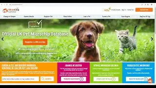 How to Transfer a Pet's Microchip Registration on Microchip Central
