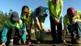 Outside Science (inside parks): Tidepools in Acadia National Park (Audio Described)
