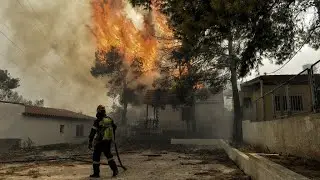 Dozens killed as wildfires rage near Athens