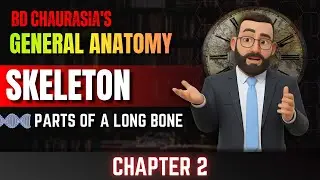 Gross Structure Of Adult Long Bone | BD Chaurasia General Anatomy  Chapter 2