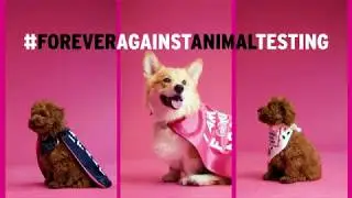 Forever Against Animal Testing: what&rsquo;s next? How to have animal testing in cosmetics abolished