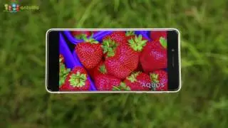 ulefone Future Borderless Review