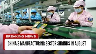 Breaking News: China's Manufacturing Sector Shrinks in August