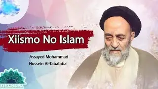 Xiismo no islam 7 , Minoria Xiita e Maioria Sunita