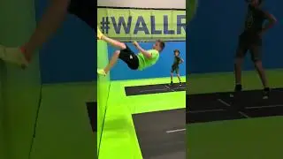 Tramp Wall - Schraube 🌎🚀