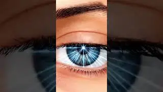 Физика человеческого глаза | Свет, линзы и зрение @Doubt-Free-Physics