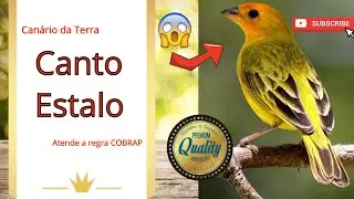 CAN&Aacute;RIO DA TERRA CANTO ESTALO O melhor do Brasil