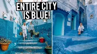 This Entire Moroccan City is BLUE! Exploring Chefchaouen & Fes Medina