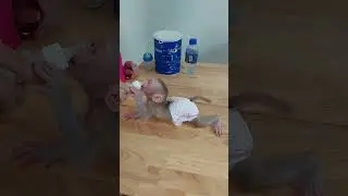 So Hungry Little Janna Crawl On Floor Ask Mom Feed Milk Her #cute #viralvideo #viralshort