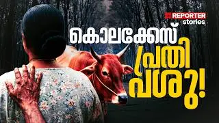 സത്യം ഒളിച്ചിരുന്ന പോസ്റ്റുമോര്&zwj;ട്ടം റിപ്പോര്&zwj;ട്ട്, ഏക സാക്ഷിയായി ആ പശു | Reporter Stories | Rosily