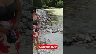Dog friendly camp and clean river #slovenia #shorts