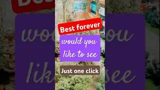 Best school campus forever 💯 kumher mbs | mbs education #kumher #kumhershortvideo #shorts