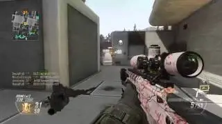 BO2 - Sick Ballista Streak!