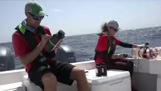 Red Tide Monitoring Offshore Sampling