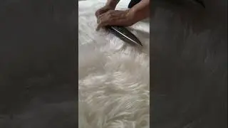 Fluffy Shag Area Rug  Soft Carpet for Living Room.