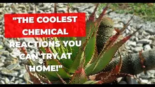 Epic DIY Science Experiments at Home! Under 1 Min