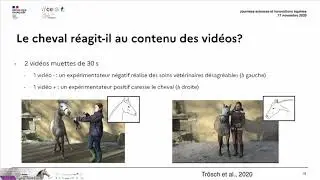 La compr&eacute;hension du comportement humain par le cheval - Mil&eacute;na Tr&ouml;sch