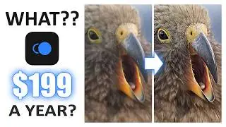 Topaz Photo Review 2026 - The Subscription Crashes Hard into the Photo AI Party
