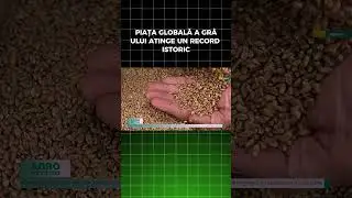 GLOBAL WHEAT MARKET REACHES A HISTORICAL RECORD
