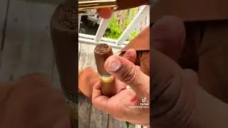 3 TYPES OF CIGAR  CUTTER PUNCH