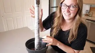 GiValue Artificial Lighted Tree Green Olive Tree and Tree Branches Review | Indoor Outdoor Decor