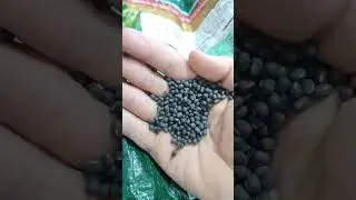 👉 