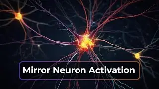 Mirror Neuron Activation 150Hz-20Hz Binaural Beats & 639 Hz Solfeggio Frequency Empathy & Connection