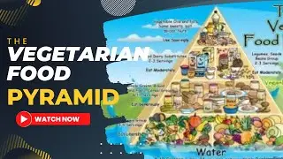 The Vegetarian Food Pyramid Explained | The Vegan Food Pyramid | Vegetarians World Foods And Drinks