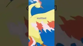 Here&rsquo;s Why Moltres Is The GOAT #pokemon